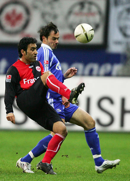 高位防线中 高位防线中