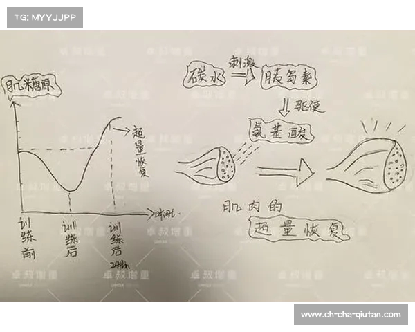科学增肌全攻略 提高肌肉增长效率的训练与饮食方法解析